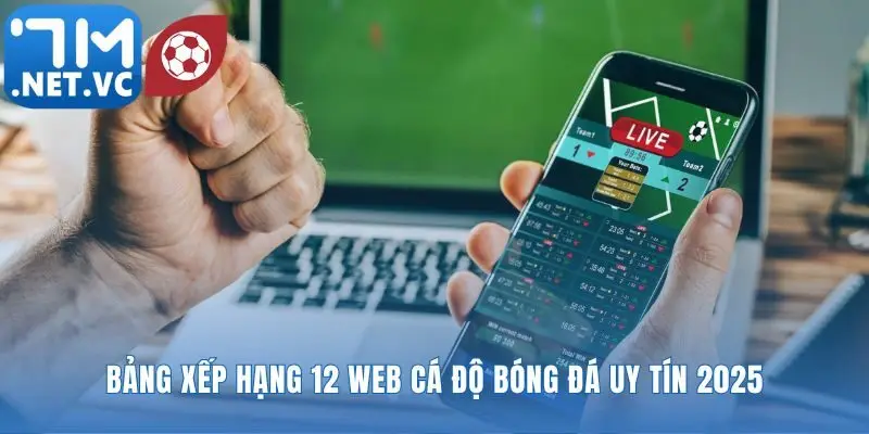Tổng hợp top 12 web cá độ bóng đá uy tín nhất